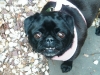 Zoe Smiles