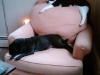 Ginger and Zoe